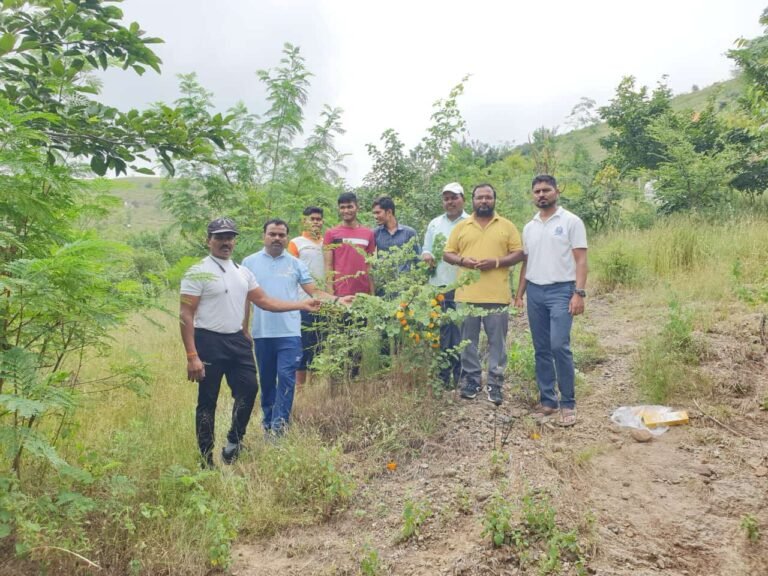 रतन टाटा यांचे स्मरणार्थ बकोरी वनराईत वृक्षारोपण